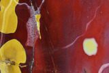 Polished Mookaite Jasper Slab - Australia #103323-1